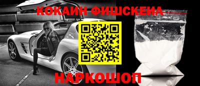 крисы Дубна