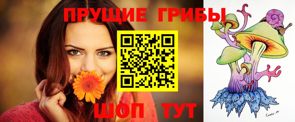 Псилоцибиновые грибы MAGIC MUSHROOMS Лысьва